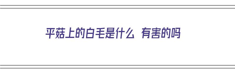 平菇上的白毛是什么 有害的吗（平菇上的白毛能吃吗）