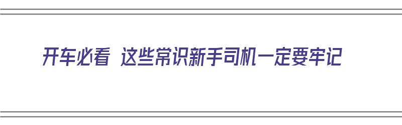 开车必看 这些常识新手司机一定要牢记（开车的必备常识）