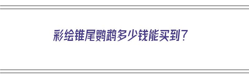 彩绘锥尾鹦鹉多少钱能买到？