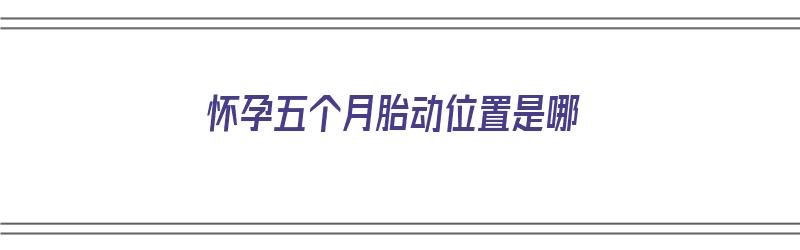 怀孕五个月胎动位置是哪（怀孕五个月的胎动位置）