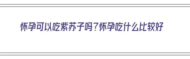 怀孕可以吃紫苏子吗？怀孕吃什么比较好（怀孕可以吃紫苏子吗?怀孕吃什么比较好呢）