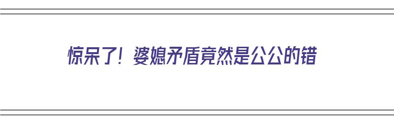 惊呆了！婆媳矛盾竟然是公公的错（婆媳矛盾是谁的问题）