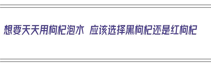 想要天天用枸杞泡水 应该选择黑枸杞还是红枸杞（枸杞泡水是黑枸杞好还是红枸杞好）