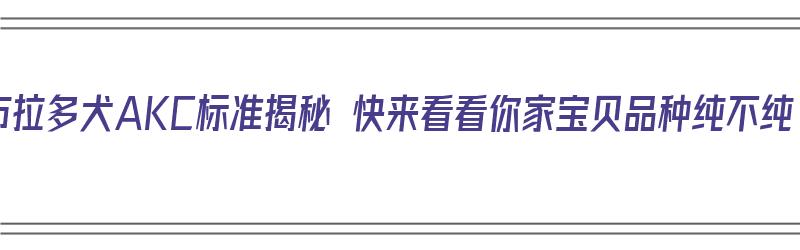 拉布拉多犬AKC标准揭秘 快来看看你家宝贝品种纯不纯（akb拉布拉多）