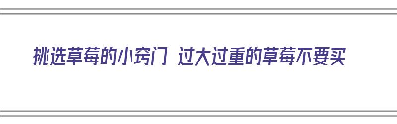 挑选草莓的小窍门 过大过重的草莓不要买