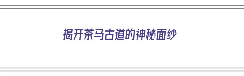 揭开茶马古道的神秘面纱（揭开茶马古道的神秘面纱是什么）