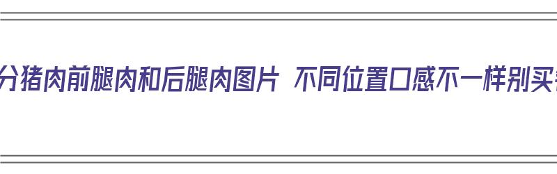 教你区分猪肉前腿肉和后腿肉图片 不同位置口感不一样别买错了（猪肉前腿肉和后腿肉的区别）