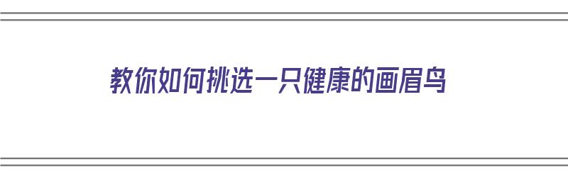 教你如何挑选一只健康的画眉鸟（教你如何挑选一只健康的画眉鸟呢）