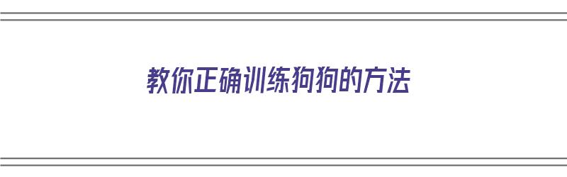 教你正确训练狗狗的方法（教你正确训练狗狗的方法视频）