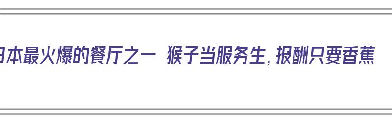 日本最火爆的餐厅之一 猴子当服务生，报酬只要香蕉（日本猴子综艺）