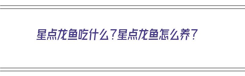 星点龙鱼吃什么？星点龙鱼怎么养？（星点龙鱼吃什么最好）