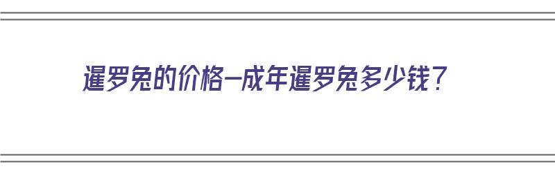 暹罗兔的价格-成年暹罗兔多少钱？（暹罗兔多少钱一只）