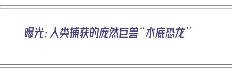 曝光：人类捕获的庞然巨兽“水底恐龙”（水底恐龙有哪些）