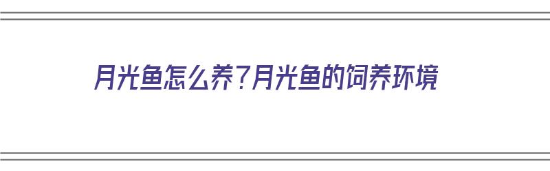 月光鱼怎么养？月光鱼的饲养环境（月光鱼怎么养?月光鱼的饲养环境是什么）