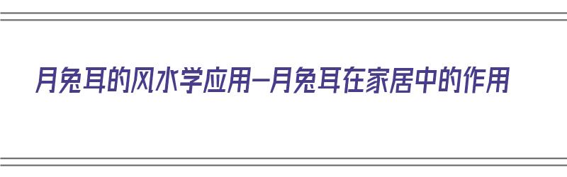 月兔耳的风水学应用-月兔耳在家居中的作用（月兔耳的养殖方法和注意事项）