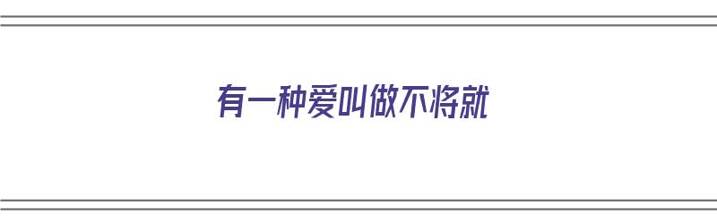 有一种爱叫做不将就（有一种爱叫做不将就的人）