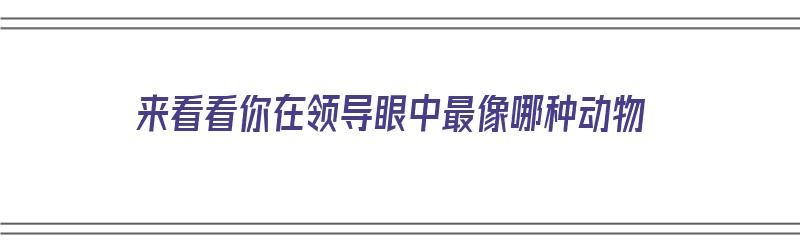 来看看你在领导眼中最像哪种动物（来看看你在领导眼中最像哪种动物呢）