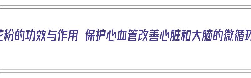 松花粉的功效与作用 保护心血管改善心脏和大脑的微循环（松花粉的功效是什么）