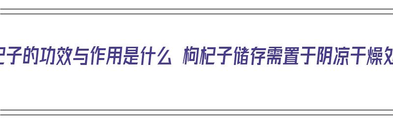 枸杞子的功效与作用是什么 枸杞子储存需置于阴凉干燥处（枸杞子作用和使用方法）