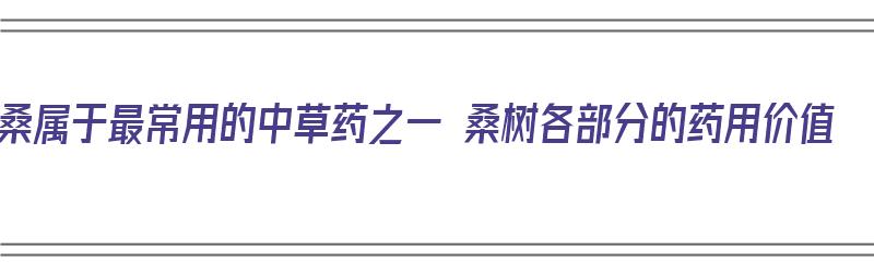 桑属于最常用的中草药之一 桑树各部分的药用价值（桑树的药用部位）