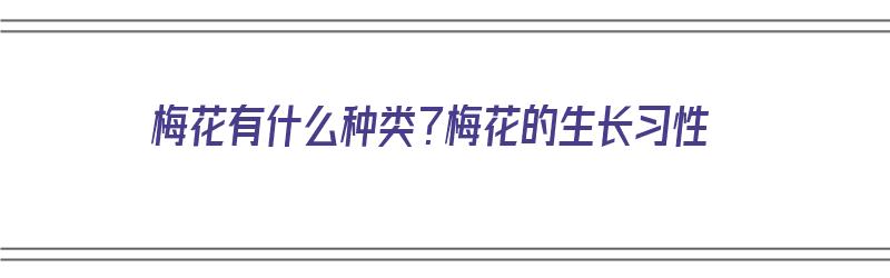 梅花有什么种类？梅花的生长习性（梅花有哪些生长特点）