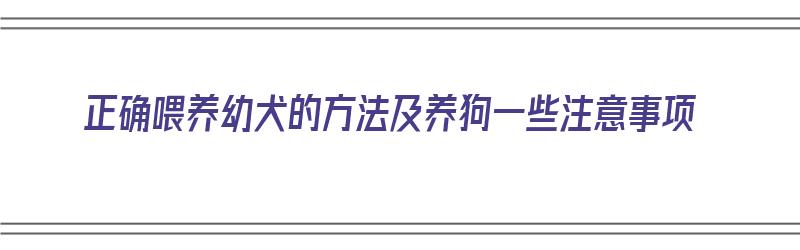 正确喂养幼犬的方法及养狗一些注意事项（正确喂养幼犬的方法及养狗一些注意事项有哪些）