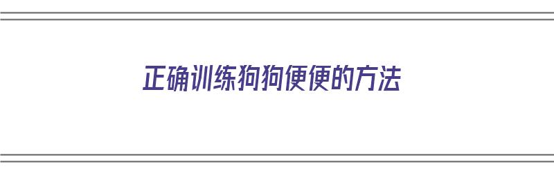 正确训练狗狗便便的方法（正确训练狗狗便便的方法视频）