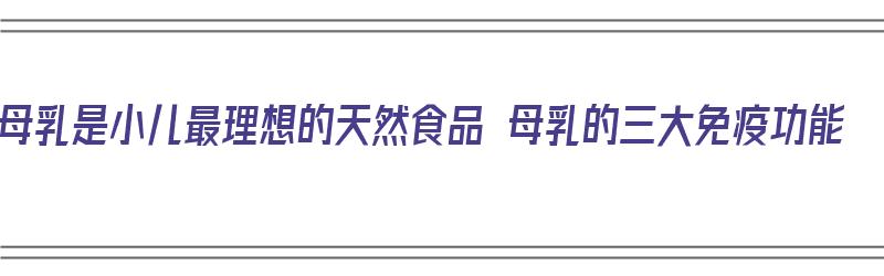 母乳是小儿最理想的天然食品 母乳的三大免疫功能（母乳的免疫物质）