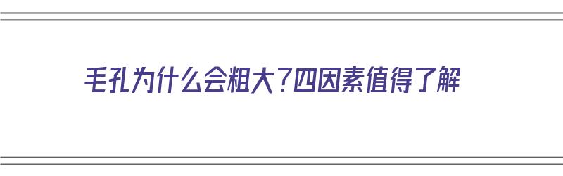 毛孔为什么会粗大？四因素值得了解（毛孔为何会粗大）