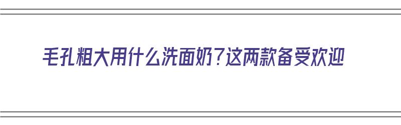 毛孔粗大用什么洗面奶？这两款备受欢迎（毛孔粗大买什么洗面奶）