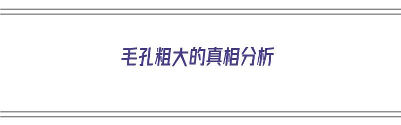 毛孔粗大的真相分析（“毛孔粗大”）