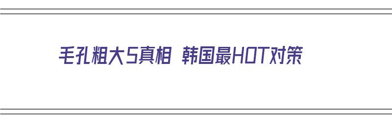 毛孔粗大5真相 韩国最HOT对策（毛孔粗大用韩国什么护肤品）