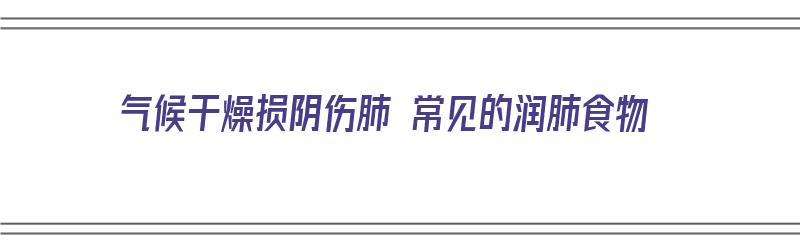 气候干燥损阴伤肺 常见的润肺食物（气候干燥损阴伤肺 常见的润肺食物有哪些）