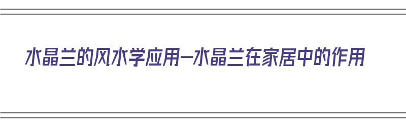 水晶兰的风水学应用-水晶兰在家居中的作用（水晶兰有什么寓意吗）