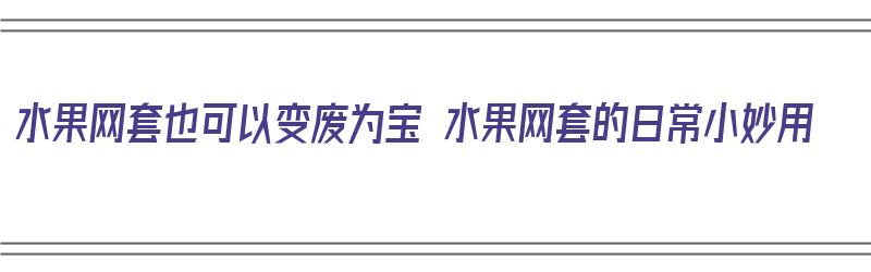 水果网套也可以变废为宝 水果网套的日常小妙用（水果网套废物利用图片大全）