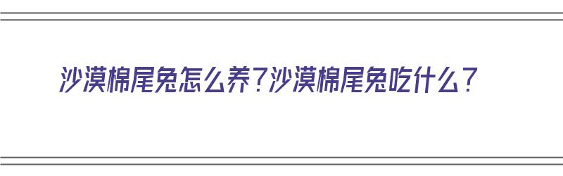 沙漠棉尾兔怎么养？沙漠棉尾兔吃什么？（棉尾兔能养吗）