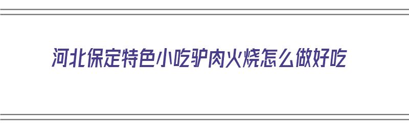 河北保定特色小吃驴肉火烧怎么做好吃（正宗保定驴肉火烧）