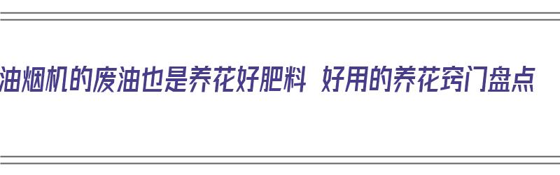 油烟机的废油也是养花好肥料 好用的养花窍门盘点（抽油烟机废油怎样养花）