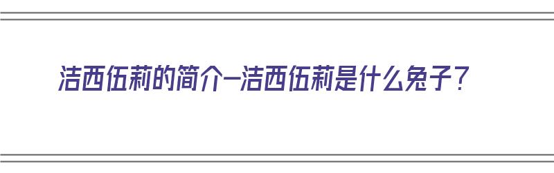 洁西伍莉的简介-洁西伍莉是什么兔子？（中山市洁西伍莉贸易有限公司）