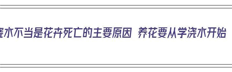 浇水不当是花卉死亡的主要原因 养花要从学浇水开始（为什么浇水了花还是枯了）