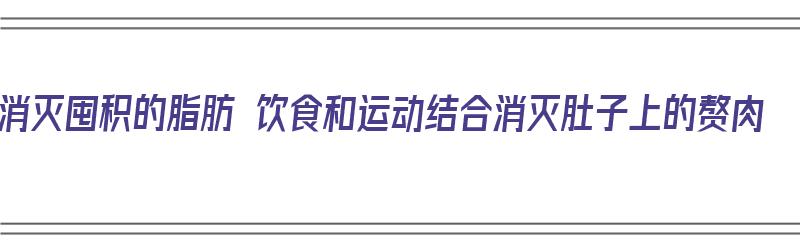 消灭囤积的脂肪 饮食和运动结合消灭肚子上的赘肉（消灭脂肪的食物）