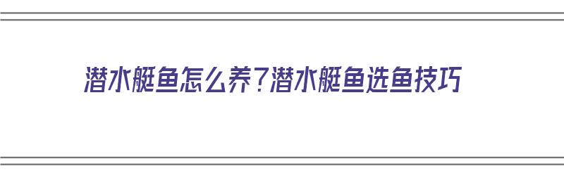 潜水艇鱼怎么养？潜水艇鱼选鱼技巧（潜水艇鱼如何养）