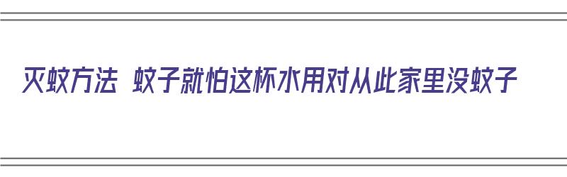 灭蚊方法 蚊子就怕这杯水用对从此家里没蚊子（灭蚊子用什么方法）