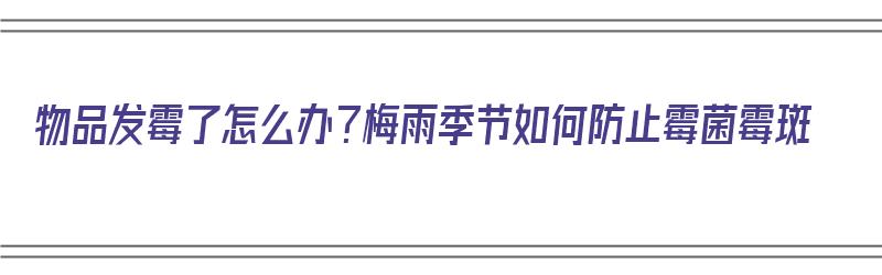 物品发霉了怎么办？梅雨季节如何防止霉菌霉斑（物品发霉了怎么办?梅雨季节如何防止霉菌霉斑发生）