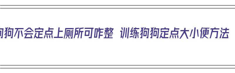 狗狗不会定点上厕所可咋整 训练狗狗定点大小便方法（狗学不会定点大小便）