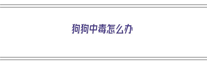 狗狗中毒怎么办（狗狗中毒怎么办怎么解毒）