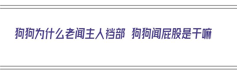 狗狗为什么老闻主人裆部 狗狗闻屁股是干嘛（狗狗闻主人裤裆然后冲着你叫是什么原因）