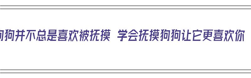 狗狗并不总是喜欢被抚摸 学会抚摸狗狗让它更喜欢你