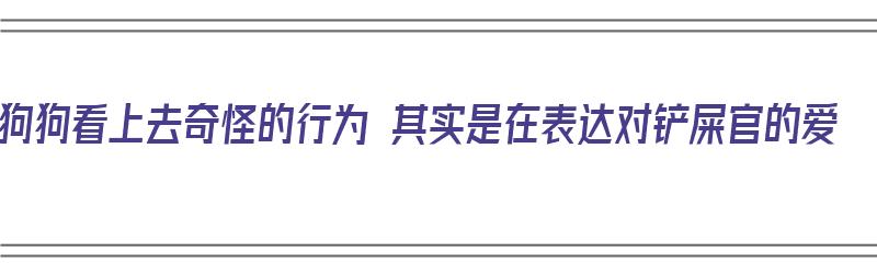 狗狗看上去奇怪的行为 其实是在表达对铲屎官的爱（为什么看狗狗会觉得像人）