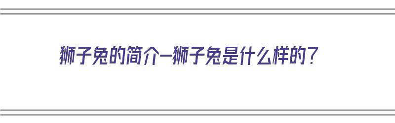 狮子兔的简介-狮子兔是什么样的？（狮子兔是什么品种）